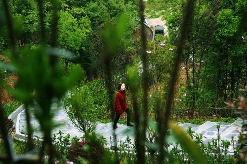 又近又美 寧鄉又添一個大公園 即將驚艷開園