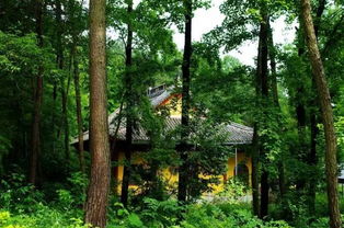 本周金華入伏了 但是金華人的夏天卻只有25 原來(lái)......