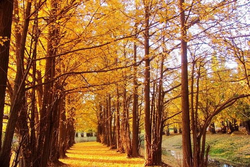 云南玩法新升級(jí),拒絕常規(guī)攻略