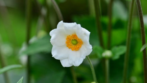 哈爾濱哪家醫(yī)院都能開診斷證明假條呢