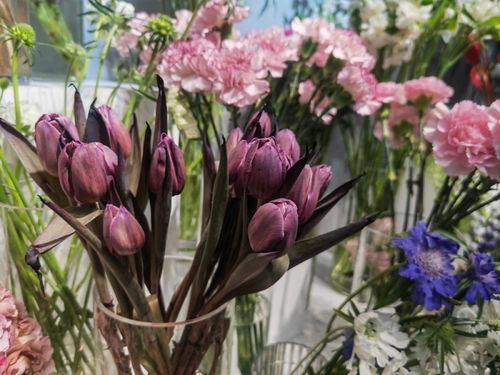 上海鮮花市場有多火 花店老板忙通宵,花卉基地產(chǎn)量翻三倍,新品種爆單