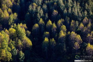 綠色延慶到底是個(gè)怎樣的存在