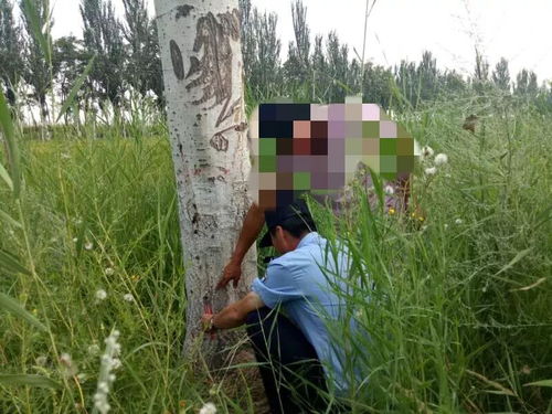 樹(shù)木鉆眼靈武公安智破毀壞林木案