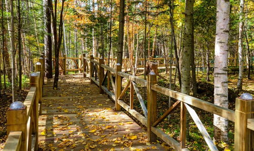 僅此3周 快來(lái)看長(zhǎng)白山秋日最美的 顏