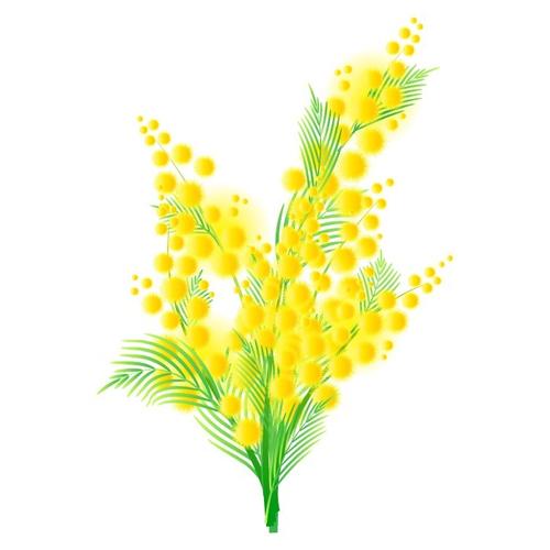 矢量圖植物寫意花卉花朵野花免費素材