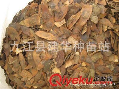 供應 降香黃檀種子 優質木材 種子 黃花梨種子-九江縣建華種業提供供應 降香黃檀種子 優質木材 種子 黃花梨種子的相關介紹、產品、服務、圖片、價格九江縣建華種業、林木種子;工程種子;園林綠化種子;花卉種子;珍稀樹種;紫玉蘭種子;羅漢松種子;黃山欒種子;小葉雞爪槭種子;桂花種子;濕地松種子;雪松種子;楠木種子;南方紅豆杉種子;櫸樹種子;杉木種子;皂角種子;楊梅種子;馬尾松種子;藍花楹種子