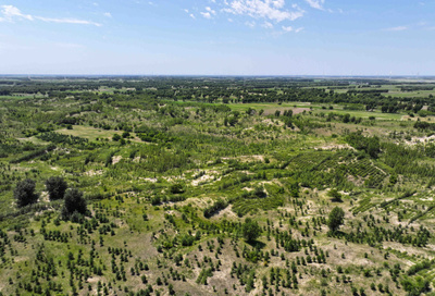 綠染白沙尖 吉林省前郭縣防沙治沙成效顯著