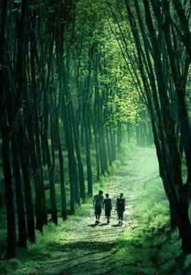 313文旅‖探討:森林康養(yǎng)規(guī)劃怎么做?