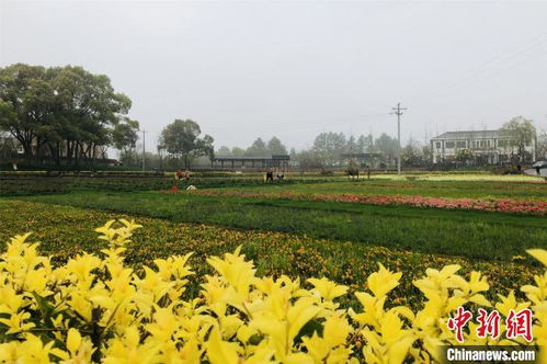 南昌培育都市休閑農業(yè)精品 去年吸引1300余萬人次到鄉(xiāng)村休閑度假鳳凰網(wǎng)江西 鳳凰網(wǎng)