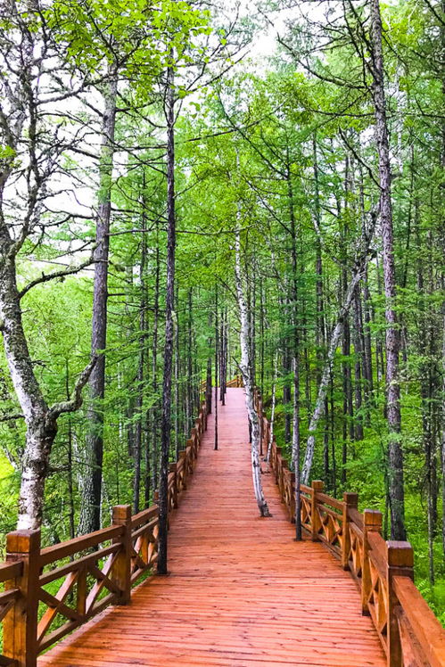 網(wǎng)紅打卡地阿爾山,天池花海日落,3 5天旅游攻略總結(jié)