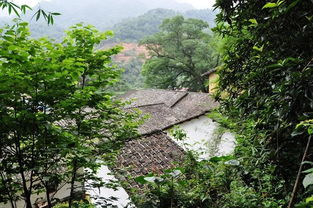 自駕還走317 這條最美省道集齊嶺南所有美景 老司機(jī)也私藏