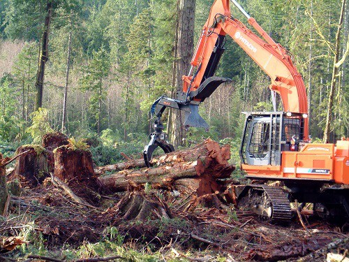誠(chéng)招林木采伐工人,歡迎您的加入!
