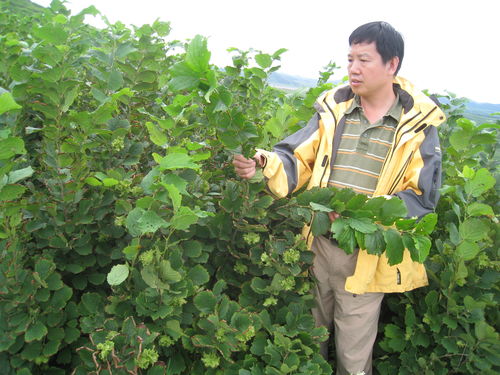 北林大多位學(xué)者入選2019年中國高被引學(xué)者名單