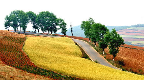 2018土地證過戶要什么手續(xù)