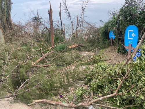 海南華隆銅鼓嶺旅控公司捐款200萬元用于文昌災(zāi)后重建