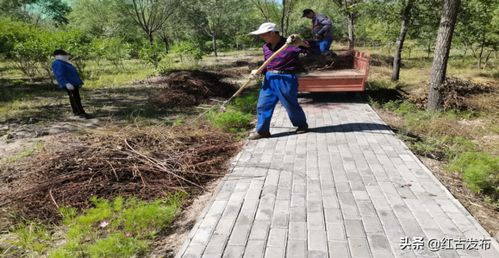 紅古區(qū)綠化管理所開展林木養(yǎng)護(hù)工作