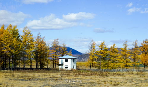 從 靠山吃山砍山 到放下斧頭當(dāng)導(dǎo)游 揭秘神奇阿爾山的前世今生