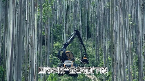 2021年廣西林木總產(chǎn)值破8000億元,gdp為2.4萬億元