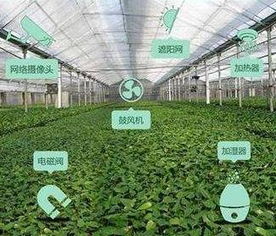 大眾銳評 這的農產品為何能 吃干榨盡