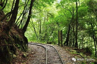 這些臺灣高山秘境等待你去征服