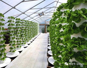 陽光板助力農(nóng)業(yè)生態(tài)餐廳建設(shè)