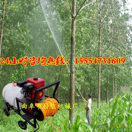 小型手推式打藥機(jī) 園林消毒機(jī) 農(nóng)田果樹專用打藥機(jī)價(jià)格