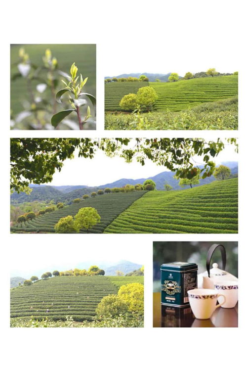 茶要在水中泡多長時(shí)間最好,向來都是憑經(jīng)驗(yàn)而定