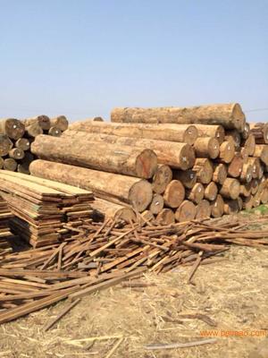 防腐木涼亭規(guī)格|河北聲譽好的樟松防腐木廠商推薦