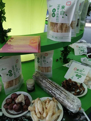 林木展上，這些實惠的林下經濟產品讓人眼饞——以盆景為例